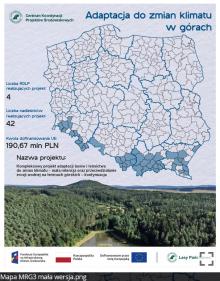 2 lutego obchodzimy World Wetland Day, czyli Światowy Dzień Mokradeł